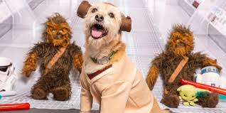 Explore Our Star Wars Collections