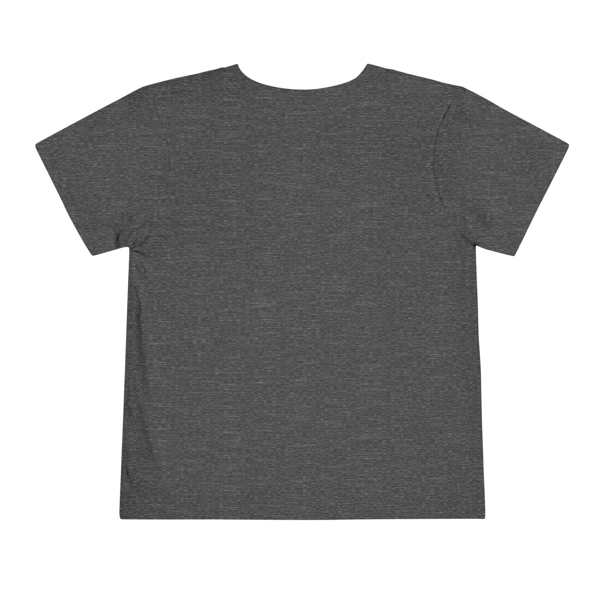 Gray kids' t-shirt featuring a simple, unadorned back design, suitable for boys and girls.