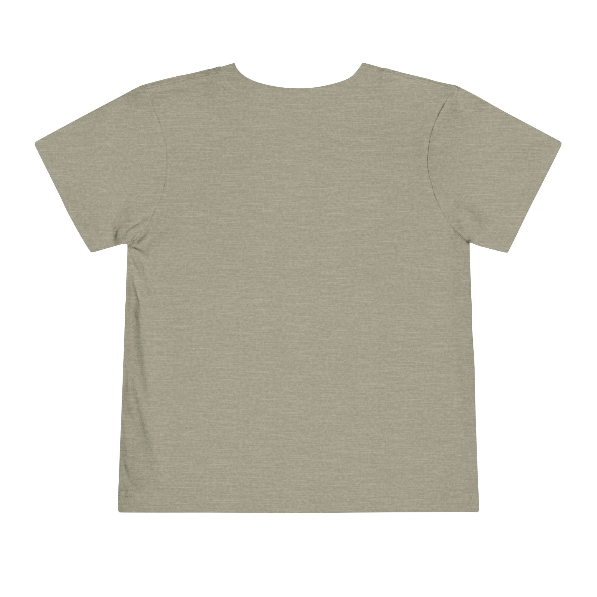 Light gray kids' t-shirt with short sleeves, featuring a plain back design, suitable for boys and girls.